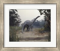 Rear view of an alamosaurus walking in a forest Fine Art Print