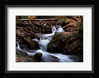 Autumn at Mt. Tammany Fine Art Print