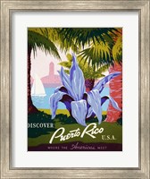 Discover Puerto Rico Fine Art Print