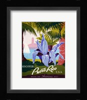Discover Puerto Rico Framed Print