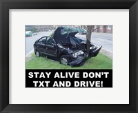 Don't Text and Drive Fine Art Print