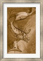 Cow trunk fish, orange sea raven, common trunk fish Fine Art Print