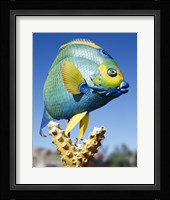 Fish carving, Florida Keys Fine Art Print