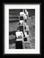 Rows of Stone Fine Art Print
