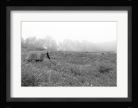 In the Fog Fine Art Print