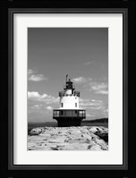 Spring Lake Fine Art Print