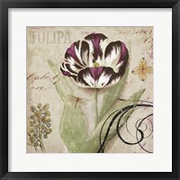 Tulipa II Fine Art Print