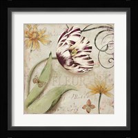 Tulipa I Fine Art Print