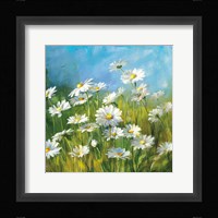Summer Field II Framed Print