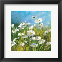 Summer Field II Framed Print