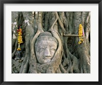 Buddha head in tree roots, Wat Mahathat, Ayutthaya, Thailand Fine Art Print