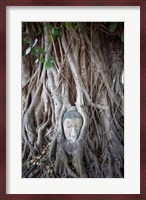 Buddha Head in the Roots of a Tree Fine Art Print