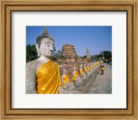 Line of Buddha Statues, Wat Yai Chai Mongkhon, Ayutthaya, Thailand Fine Art Print