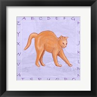 Cat Alphabet Framed Print