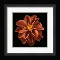 Four Keeps I Fine Art Print