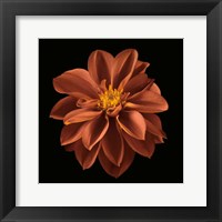 Four Keeps I Fine Art Print