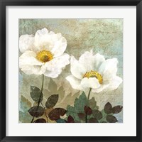 Anemone II Fine Art Print