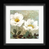 Anemone II Fine Art Print