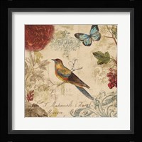 Natures Rhapsody I Framed Print