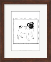 Best in Show VII Fine Art Print