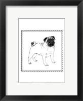 Best in Show VII Fine Art Print