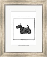 Best in Show IX Fine Art Print