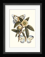 Butterfly Oasis I Fine Art Print