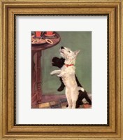 Terrier Trouble V Fine Art Print