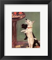 Terrier Trouble V Fine Art Print