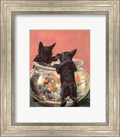 Terrier Trouble VI Fine Art Print