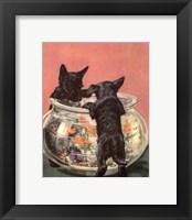 Terrier Trouble VI Fine Art Print