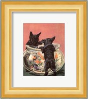 Terrier Trouble VI Fine Art Print