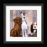 Sit & Stay I Framed Print