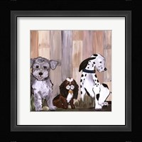 Sit & Stay II Fine Art Print