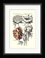 Tinted Floral I Fine Art Print