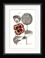 Tinted Floral II Fine Art Print