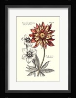 Tinted Floral III Fine Art Print