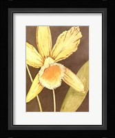 Orchid & Earth I Framed Print