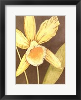 Orchid & Earth I Framed Print