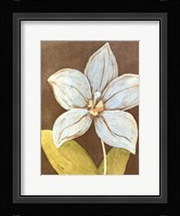 Orchid & Earth II Framed Print