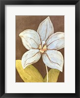 Orchid & Earth II Framed Print