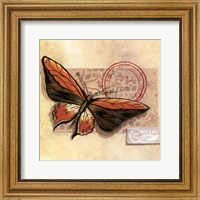 Le Papillon II Fine Art Print
