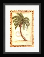 Licuala Grandis Palm Framed Print