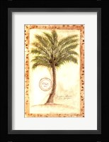 Fan Palm Framed Print