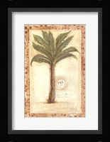 Palmetto Palm Framed Print