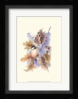 Chickadee and Oak Leaves Framed Print