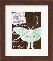 Le Papillon Script I Fine Art Print