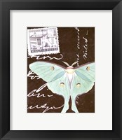 Le Papillon Script I Fine Art Print