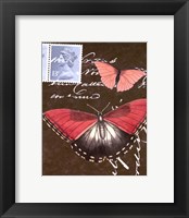 Le Papillon Script II Fine Art Print