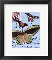 Le Papillon Script VI Fine Art Print